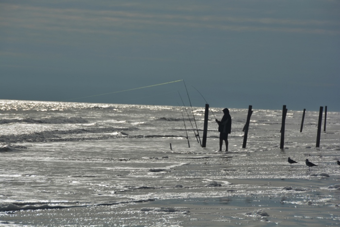 A fisherman checks his lines on Galveston west beach